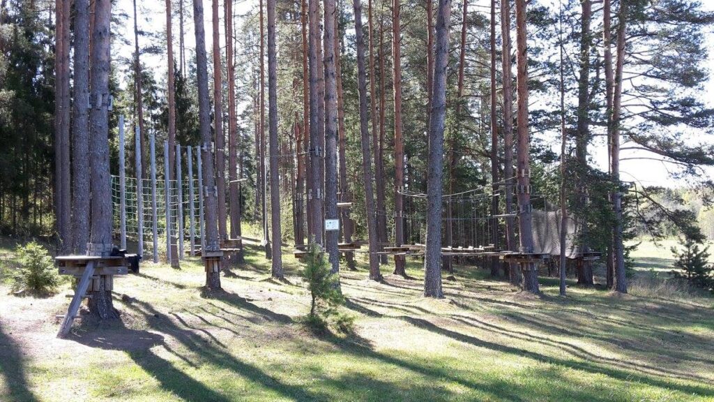 497610805 2735933683258318 1963390412724651688 n