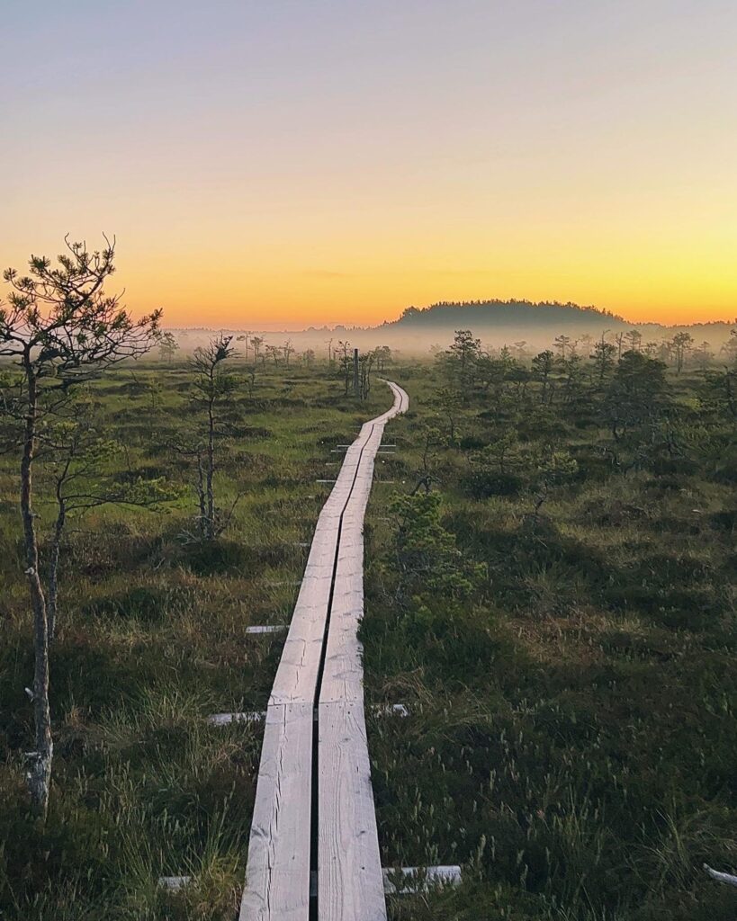 päikesetõus+kakerdajas.jpeg@1920w